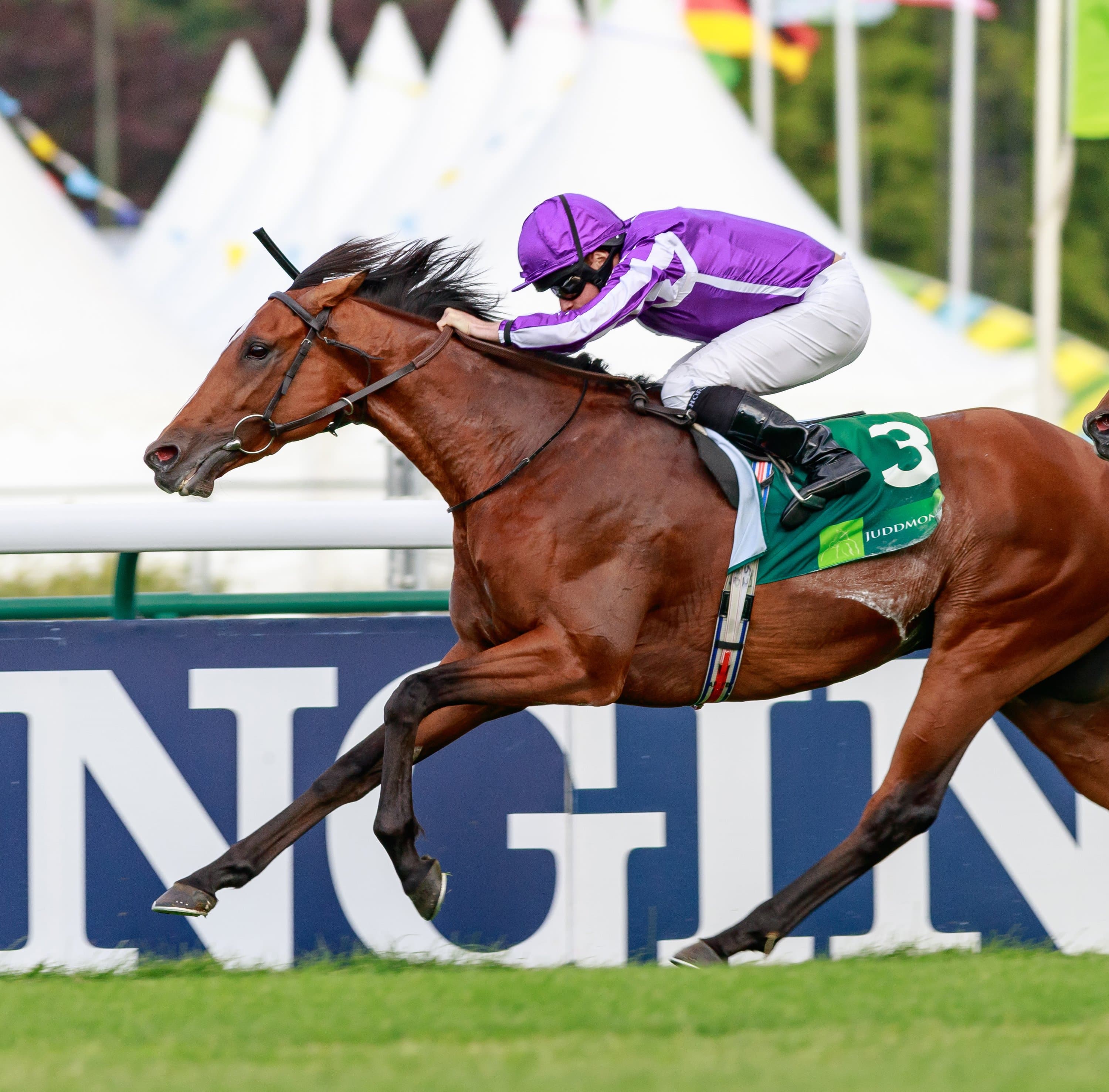 The High Stakes of Cultural Continuity